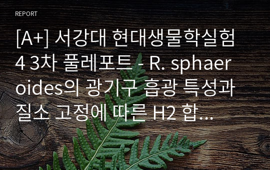 [A+] 서강대 현대생물학실험4 3차 풀레포트 - R. sphaeroides의 광기구 흡광 특성과 질소 고정에 따른 H2 합성량 증진 요인