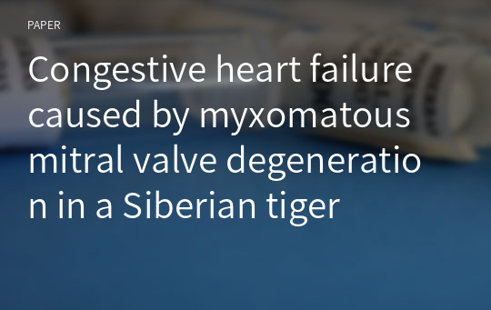 Congestive heart failure caused by myxomatous mitral valve degeneration in a Siberian tiger