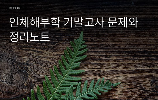 인체해부학 기말고사 문제와 정리노트