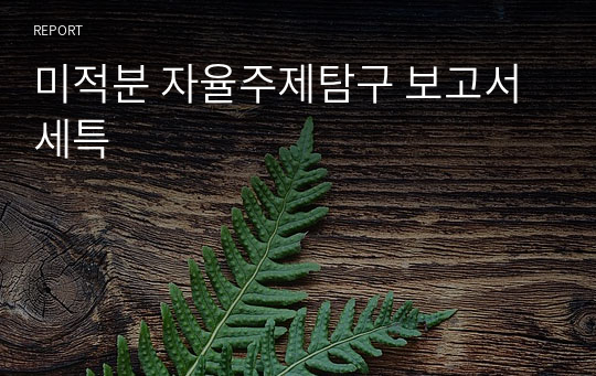 미적분 자율주제탐구 보고서 세특