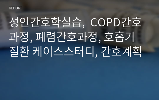 성인간호학실습,  COPD간호과정, 폐렴간호과정, 호흡기질환 케이스스터디, 간호계획