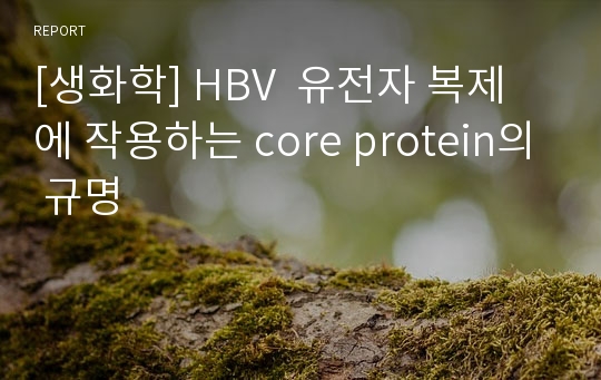 [생화학] HBV  유전자 복제에 작용하는 core protein의 규명