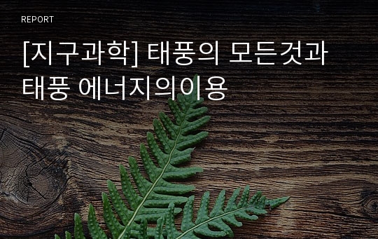 [지구과학] 태풍의 모든것과 태풍 에너지의이용