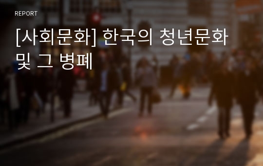 [사회문화] 한국의 청년문화 및 그 병폐