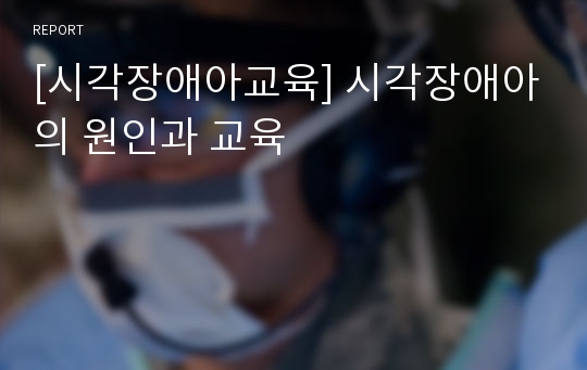 [시각장애아교육] 시각장애아의 원인과 교육