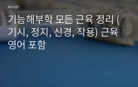 기능해부학 모든 근육 정리 (기시, 정지, 신경, 작용) 근육 영어 포함