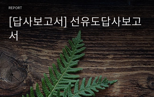 [답사보고서] 선유도답사보고서