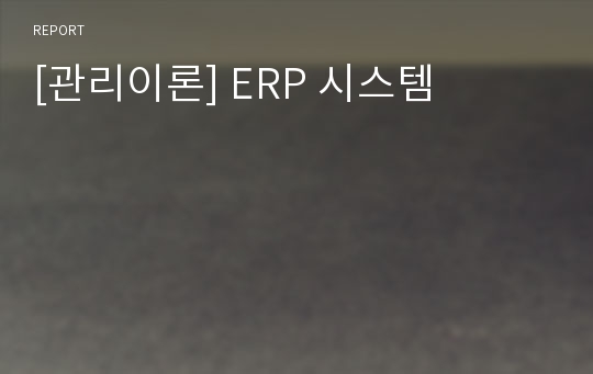 [관리이론] ERP 시스템