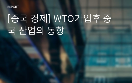 [중국 경제] WTO가입후 중국 산업의 동향