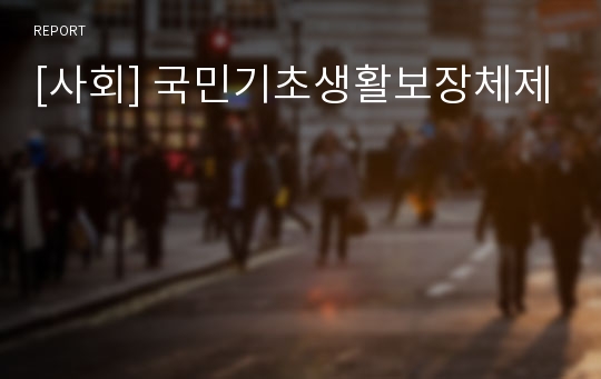 [사회] 국민기초생활보장체제