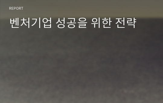 벤처기업 성공을 위한 전략