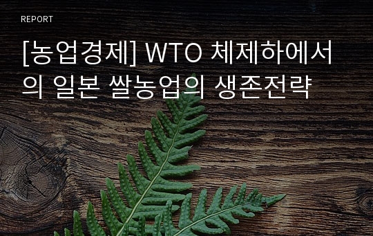 [농업경제] WTO 체제하에서의 일본 쌀농업의 생존전략