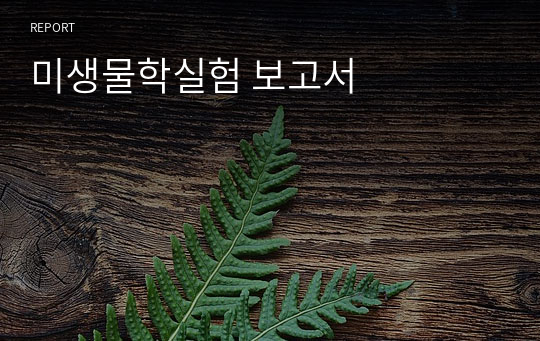 미생물학실험 보고서