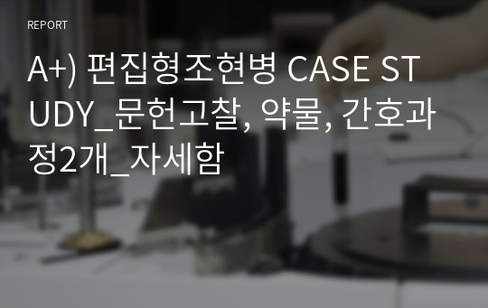 A+) 편집형조현병 CASE STUDY_문헌고찰, 약물, 간호과정2개_자세함