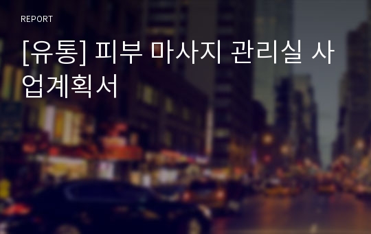 [유통] 피부 마사지 관리실 사업계획서