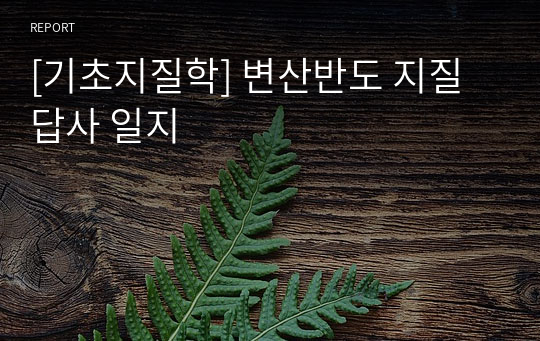 [기초지질학] 변산반도 지질답사 일지