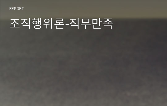 조직행위론-직무만족