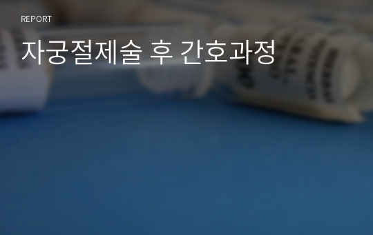 자궁절제술 후 간호과정