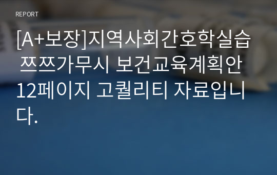 [A+보장]지역사회간호학실습 쯔쯔가무시 보건교육계획안 12페이지 고퀄리티 자료입니다.