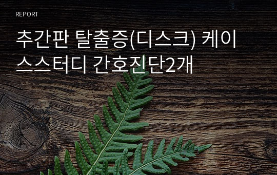 추간판 탈출증(디스크) 케이스스터디 간호진단2개