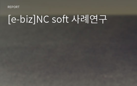 [e-biz]NC soft 사례연구