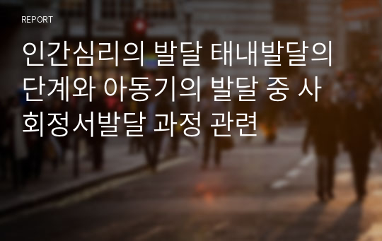 인간심리의 발달 태내발달의 단계와 아동기의 발달 중 사회정서발달 과정 관련