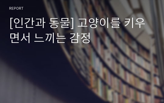 [인간과 동물] 고양이를 키우면서 느끼는 감정