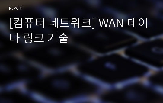 [컴퓨터 네트워크] WAN 데이타 링크 기술