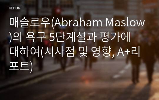 매슬로우(Abraham Maslow)의 욕구 5단계설과 평가에 대하여(시사점 및 영향, A+리포트)