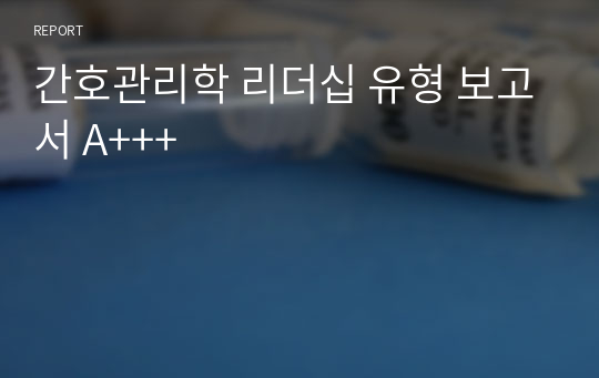 간호관리학 리더십 유형 보고서 A+++