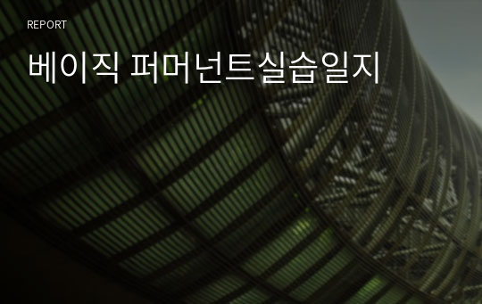 베이직 퍼머넌트실습일지