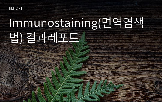 Immunostaining(면역염색법) 결과레포트