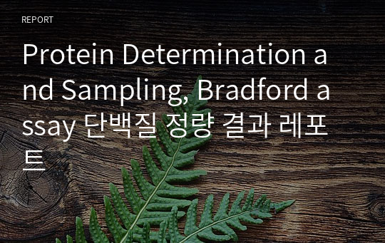 Protein Determination and Sampling, Bradford assay 단백질 정량 결과 레포트