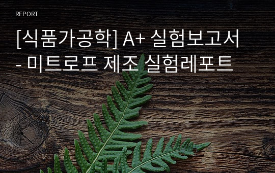 [식품가공학] A+ 실험보고서 - 미트로프 제조 실험레포트