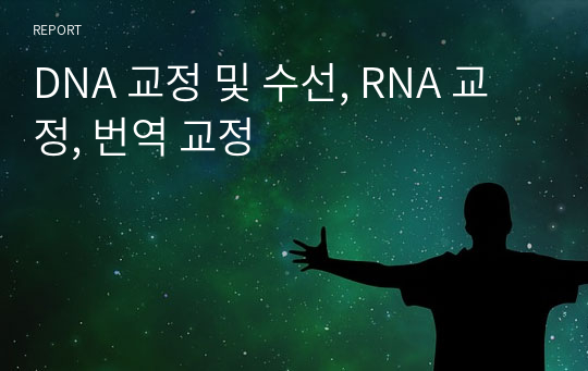 DNA 교정 및 수선, RNA 교정, 번역 교정
