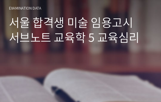 서울 합격생 미술 임용고시 서브노트 교육학 5 교육심리