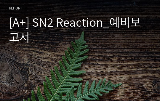 [A+] SN2 Reaction_예비보고서
