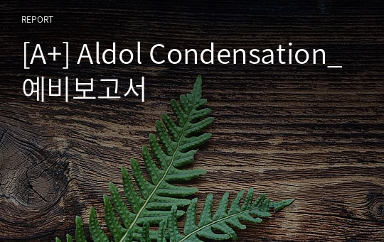 [A+] Aldol Condensation_예비보고서