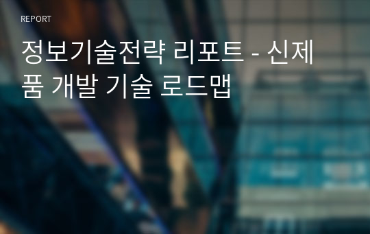 정보기술전략 리포트 - 신제품 개발 기술 로드맵