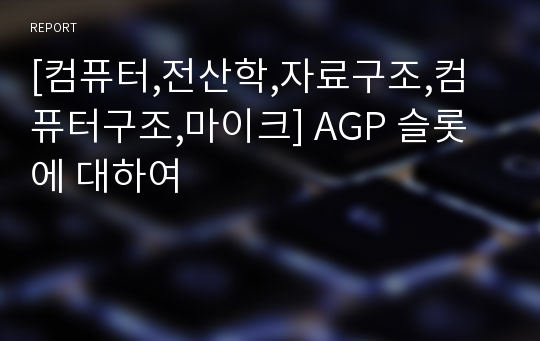 [컴퓨터,전산학,자료구조,컴퓨터구조,마이크] AGP 슬롯에 대하여