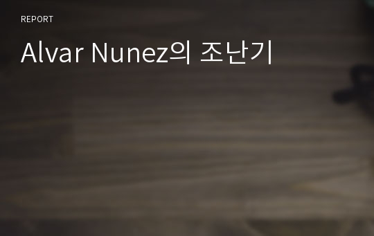 Alvar Nunez의 조난기