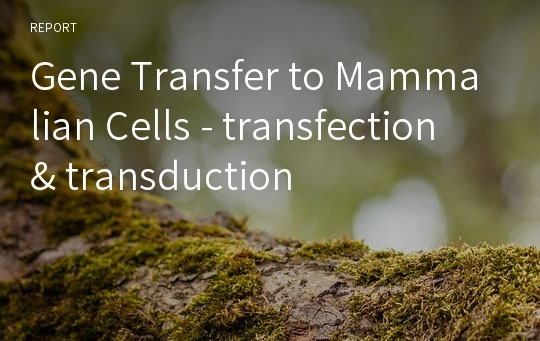 Gene Transfer to Mammalian Cells - transfection &amp; transduction
