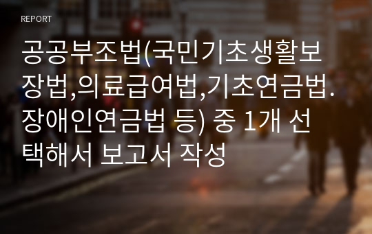 공공부조법(국민기초생활보장법,의료급여법,기초연금법.장애인연금법 등) 중 1개 선택해서 보고서 작성