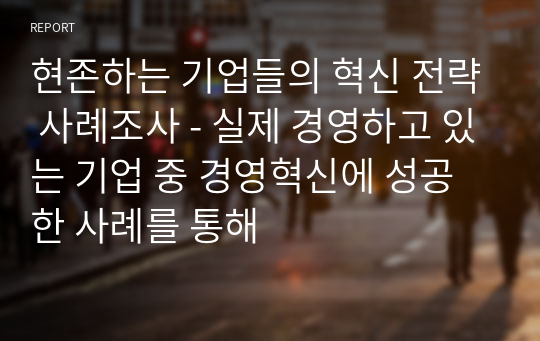 현존하는 기업들의 혁신 전략 사례조사 - 실제 경영하고 있는 기업 중 경영혁신에 성공한 사례를 통해