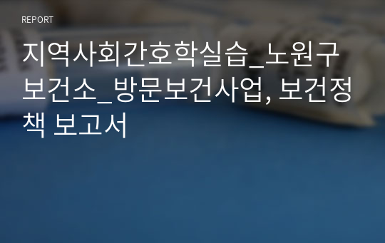 지역사회간호학실습_노원구보건소_방문보건사업, 보건정책 보고서