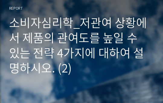 소비자심리학_저관여 상황에서 제품의 관여도를 높일 수 있는 전략 4가지에 대하여 설명하시오. (2)