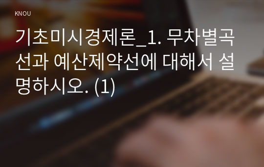 기초미시경제론_1. 무차별곡선과 예산제약선에 대해서 설명하시오. (1)