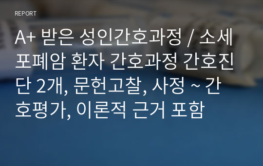 A+ 받은 성인간호과정 / 소세포폐암 환자 간호과정 간호진단 2개, 문헌고찰, 사정 ~ 간호평가, 이론적 근거 포함