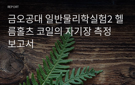 금오공대 일반물리학실험2 헬름홀츠 코일의 자기장 측정 보고서