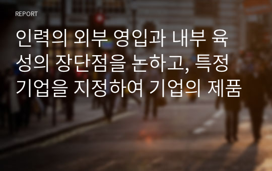 인력의 외부 영입과 내부 육성의 장단점을 논하고, 특정 기업을 지정하여 기업의 제품